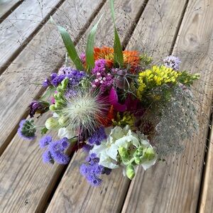 Meet your Posher, Ann